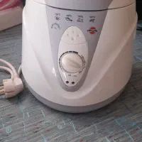 سرخ کن مینی