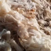 پشم گوسفندی