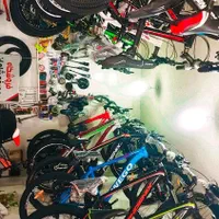 دوچرخه همه مارک|دوچرخه، اسکیت، اسکوتر|کاشان, بازار کاشان|دیوار