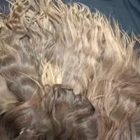 خریدار موهای بلند شما در لردگان خانمیرزا فلارد|خدمات آرایشگری و زیبایی|لردگان, |دیوار