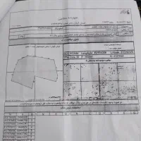1400متر مسکونی همراه با خانه6000متر شالیزار|فروش زمین و ملک کلنگی|لولمان, |دیوار