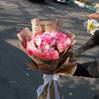 گلفروشی آنلاین ونک ارسال به سراسر تهران کرج|گل و گیاه طبیعی|تهران, والفجر|دیوار