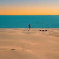 فالور اینستاگرام روبیکا