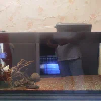 اکواریوم یک متری