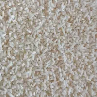 برنج سرلاشه هاشمی درجه یک سورتینگ شده با تضمین