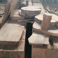 اسلب چوب تنه کالباسی تخته|عمدهفروشی|طاهرگوراب, |دیوار