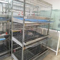 قفس مرغ و خروس بزرگ