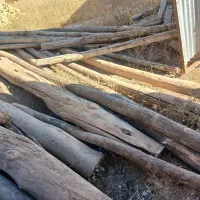 خرید چوب شما باقیمت بالا