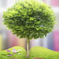 کلاس تقویتی دروس ابتدایی