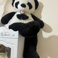 خرس پاندا|اسباب‌‌بازی|قم, نیروگاه|دیوار