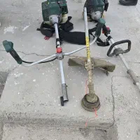علف زن پارکساید آلمان