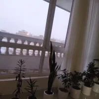 وام فرزنداوری