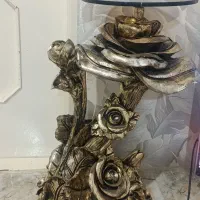 کنار سالنی شیک و نو