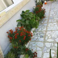 ویلا-220-متری