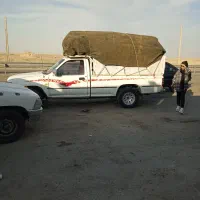 وانت بار|خدمات حمل و نقل|تیمور آباد, |دیوار