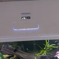 آکواریوم شیشه خم|ماهی|شیراز, نصر|دیوار