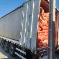 مناسب گوسفند و گاو