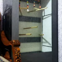 قفس معامله باپرنده طوطی فنچ کوتوله راهب سگ عروس...