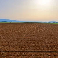 زمین-کشاورزی