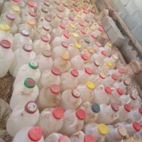 30عدد دبه خیارشو