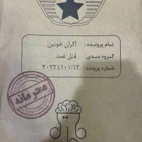پرونده جنایی اکران خونین|اسباب‌‌بازی|کرج, اصفهانی‌ها|دیوار