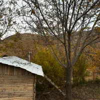 کلبه باغ سوییت|اجارهٔ کوتاهمدت ویلا و باغ|کرمانشاه, |دیوار