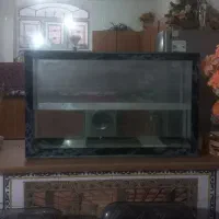 آکواریوم شیشه ده میل