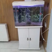 آکواریوم