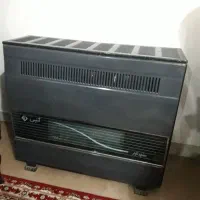 بخاری سالم