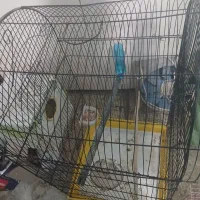 قفس با لونه