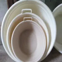 وان کار کرده برای ماهی قرمز