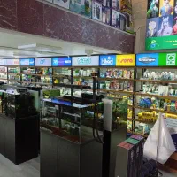 استخدام کارگر ساده|استخدام خدمات فروشگاه و رستوران|تهران, اسکندری|دیوار