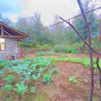 300متر-خانه-محوطه-قدیمی-60متر-بنا-دوخواب