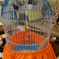 قفس پرنده کامل