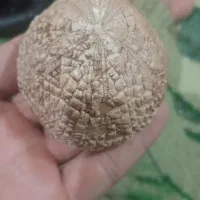 سنگ قیمتی|کلکسیون اشیاء عتیقه|نورآباد, |دیوار