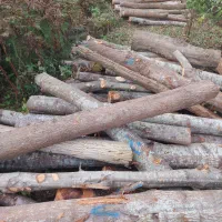 خرید و اخذ انواع چوب آلات جنگلی و باغی