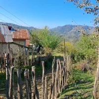 زمین باغی آینده دار /رو ارتفاع|فروش زمین و ملک کلنگی|سیاهکل, |دیوار