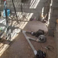 مقنی مغنی یا چاه کن|خدمات پیشه و مهارت|سبزوار, گلشن|دیوار