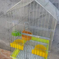 فروش قفس. با. لوازم. کامل|لوازم جانبی حیوانات|میناب, |دیوار