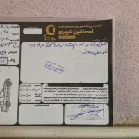 ۲۰۶ تیپ ۵|خودرو سواری و وانت|نورآباد, |دیوار