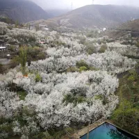 ۷۰۰ متر باغ در سنگان ۱۱ کیلومتری شمال غرب تهران|فروش خانه و ویلا|تهران, شهران شمالی|دیوار