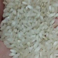 برنج ونیم دانه کامفیروزی و عنبربو درجهیک میخای بیا