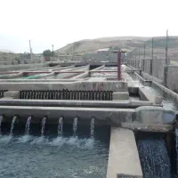 استخدام کارگر جهت پرورش ماهی استان گیلان
