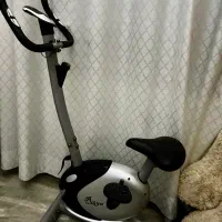 دوچرخه ثابت
