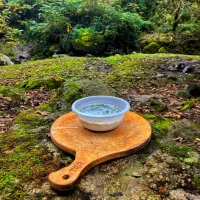 تور کاپلان یولو با مجوز رسمی میراث