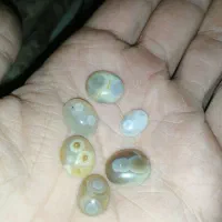 نگین باباقوری آماده رکاب|جواهرات|سبزوار, پامنار|دیوار