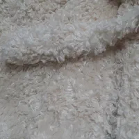 پالتو استر دار|لباس|تربت‌حیدریه, کاشانی|دیوار