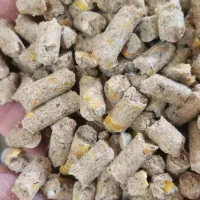 تولید انواع کنجاله تخم پنبه و کنجاله کلزا