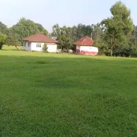 ویلای قدیمساز جنگلی ۱۲هزار متری ، رضوانشهر|فروش زمین و ملک کلنگی|رضوانشهر, |دیوار