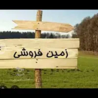 فروش زمین 100 متری / کوی زیتون / کد 19032 / nikan
